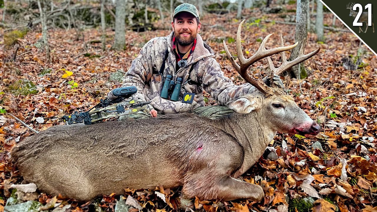 BIG WOODS BUCK with a BOW! (Missouri Public Land)