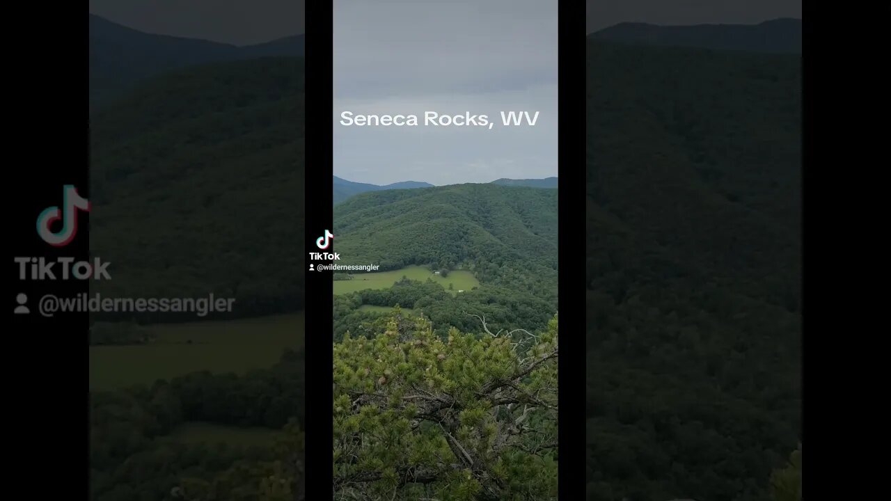 Top of Seneca Rocks