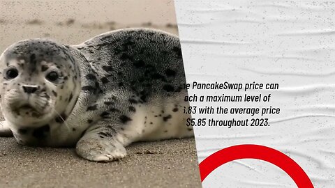 PancakeSwap Price Prediction 2023, 2025, 2030 How much will CAKE be worth