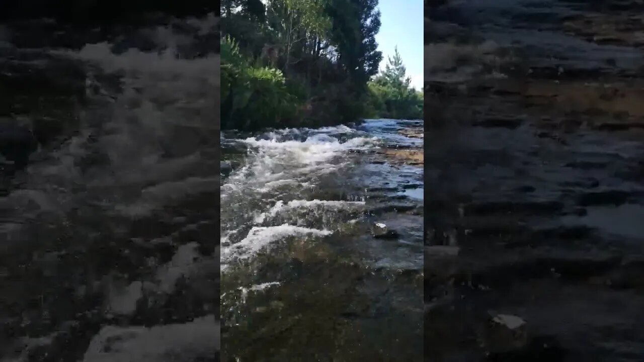 Growth! Stream flows into river #river #stream #water