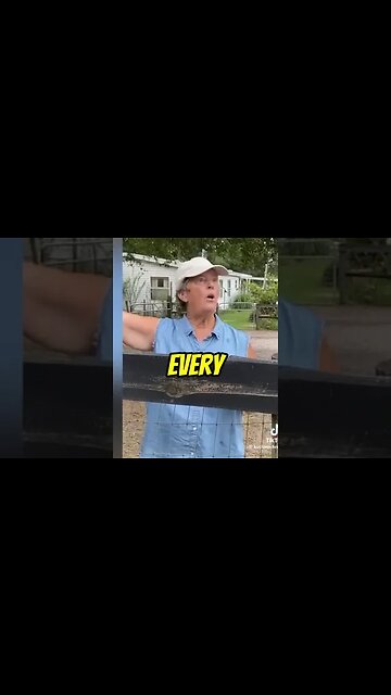 Confronting a Neighbor's Unwanted Involvement A Frustrating Exchange #crazykarens #groovy