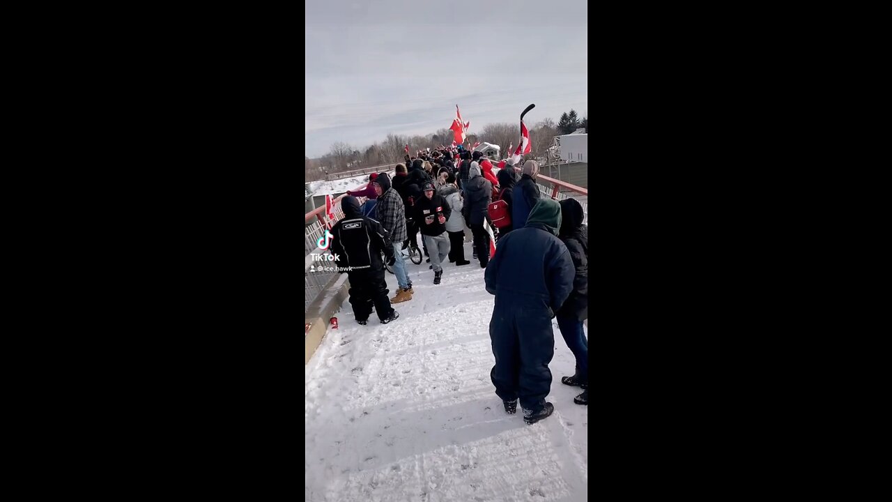 Freedom Convoy Hamilton Skyway