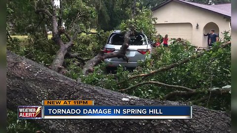 Trees fall on a car in Hernando County with mom and 3 kids inside