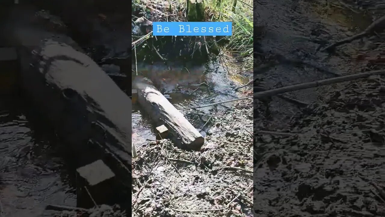 What Is This?