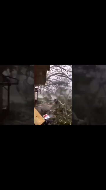 Hurricane Ida causing massive destruction as it passed through Louisiana,#shorts #news