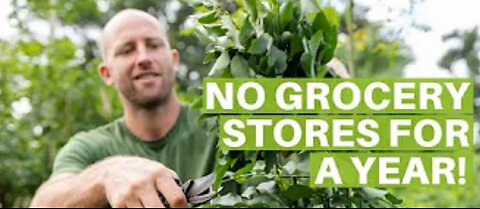 👨‍🌾🌱Grew and Foraged 100% of Food for an Entire Year!🌱👩‍🌾