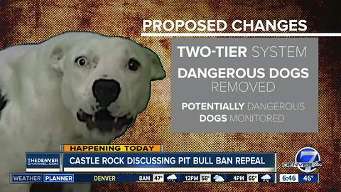 Castle Rock to hold final hearing on repealing pit bull ban