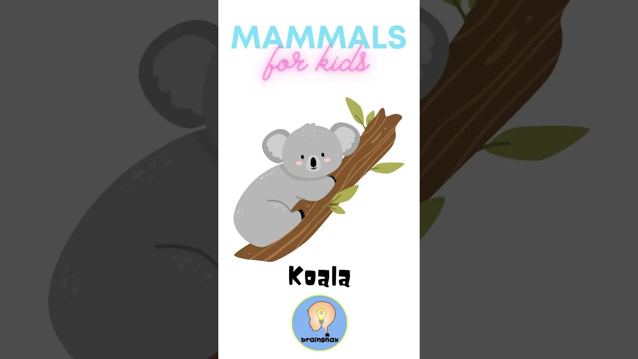 Mammals for kids | Talking Flashcards | Animals