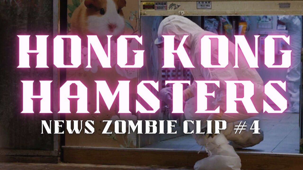 Hong Kong Hamsters