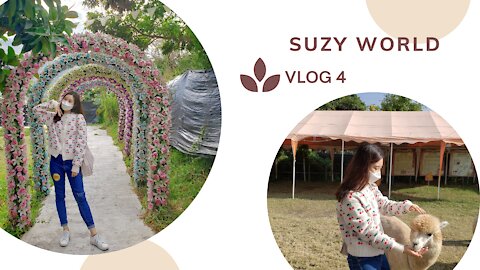 🥰💐Weekly Vlog 4✨Suzy’s World//Kam Sheung Road//🐑Go Green Organic Farm🌳//Hong Kong