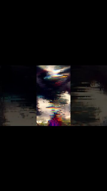 The King of the flock of Crows #shorts