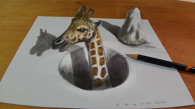 Drawing a Giraffe in a Hole, 3D Illusion by Vamos