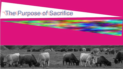 The Purpose of Sacrifice