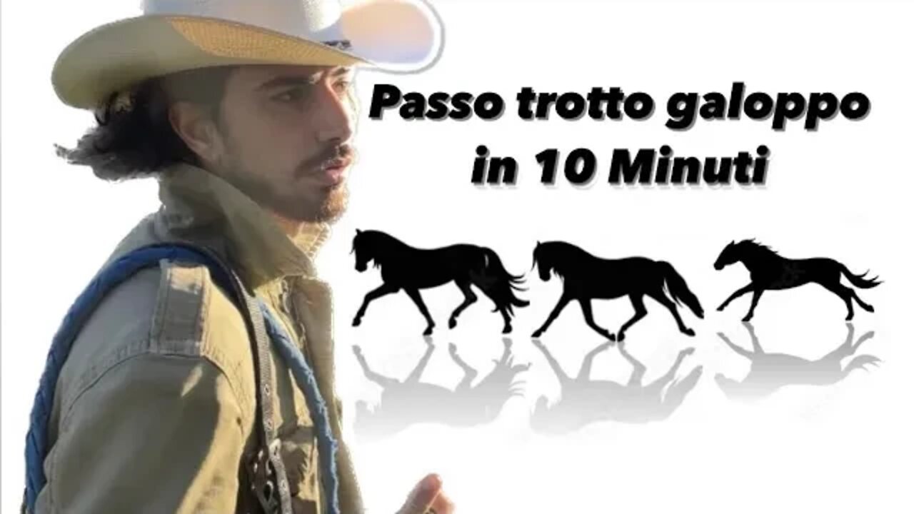 Montare a Cavallo
