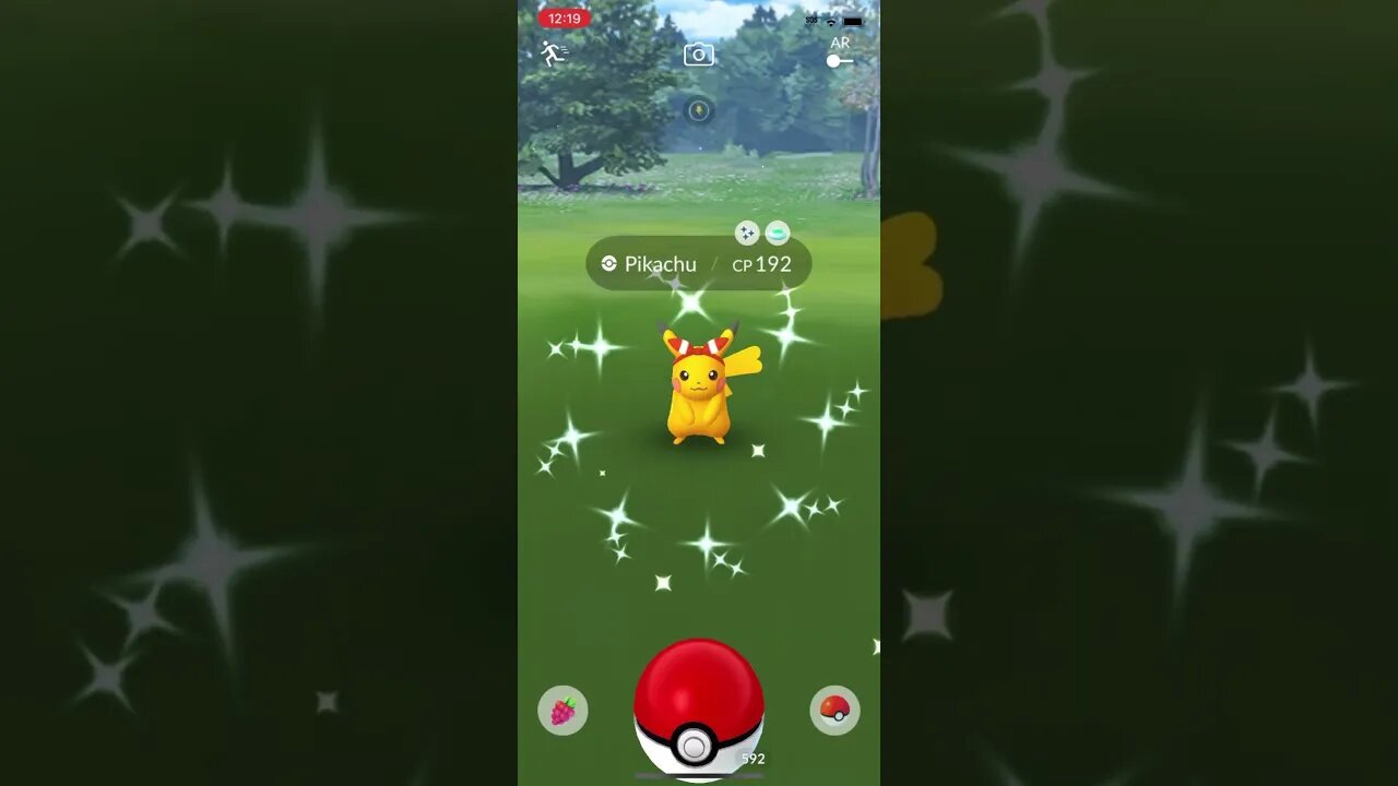 Shiny Compilation