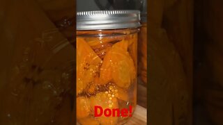 Done With My First Batch