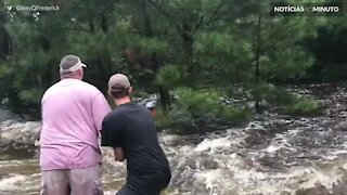 Cão é salvo nas cheias do Furacão Harvey!