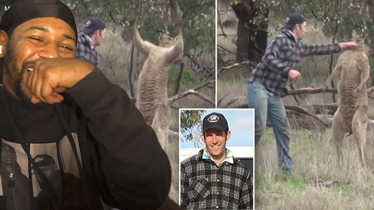 MAN PUNCHES KANGAROO IN THE FACE TO RESCUE HIS DOG | REACTION!!!