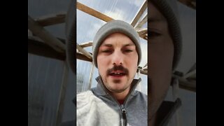 Greenhouse update