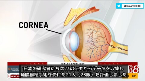 日本の研究、角膜移植者が全員コロワク接種後に拒絶反応を起こした