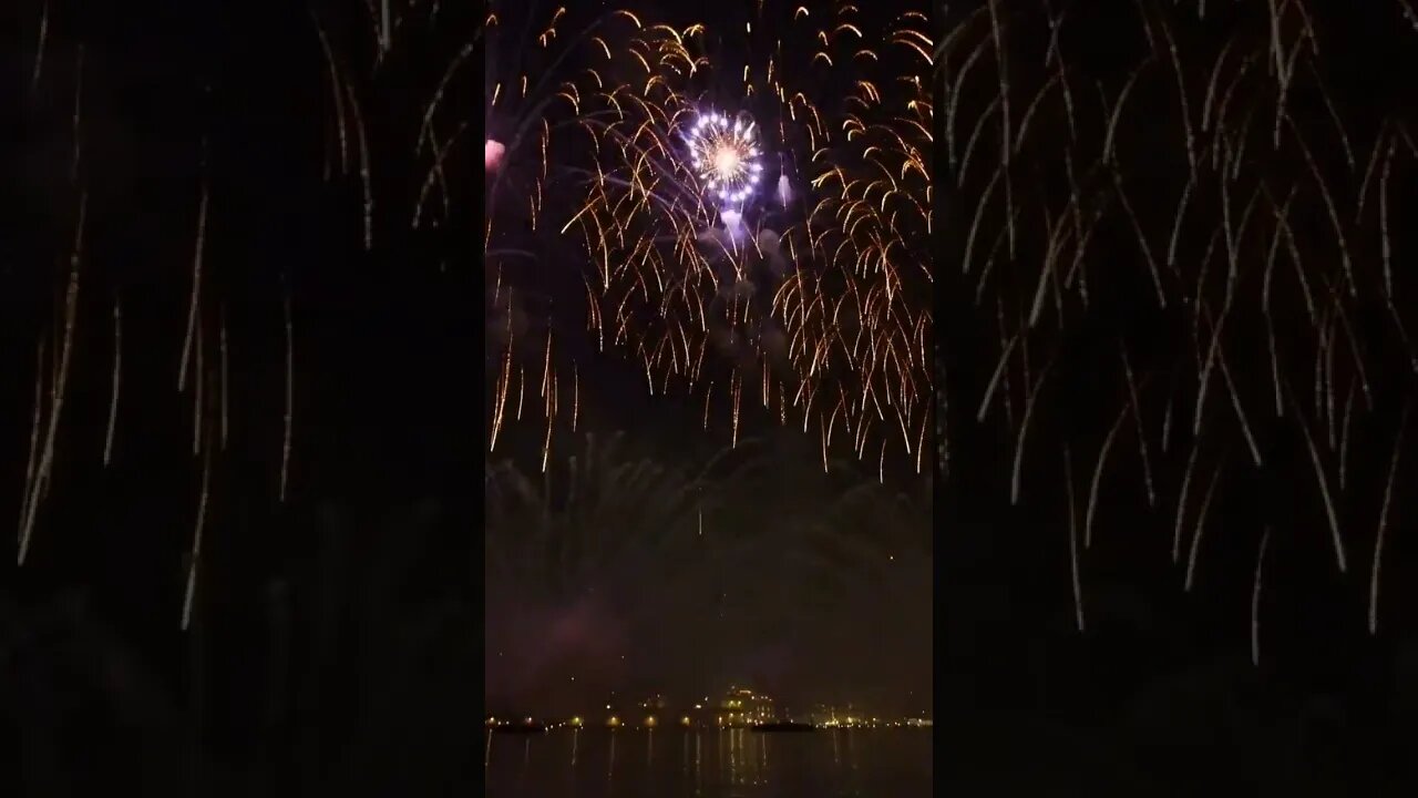 #relaxingmusic #fireworks #firework #pets #pet
