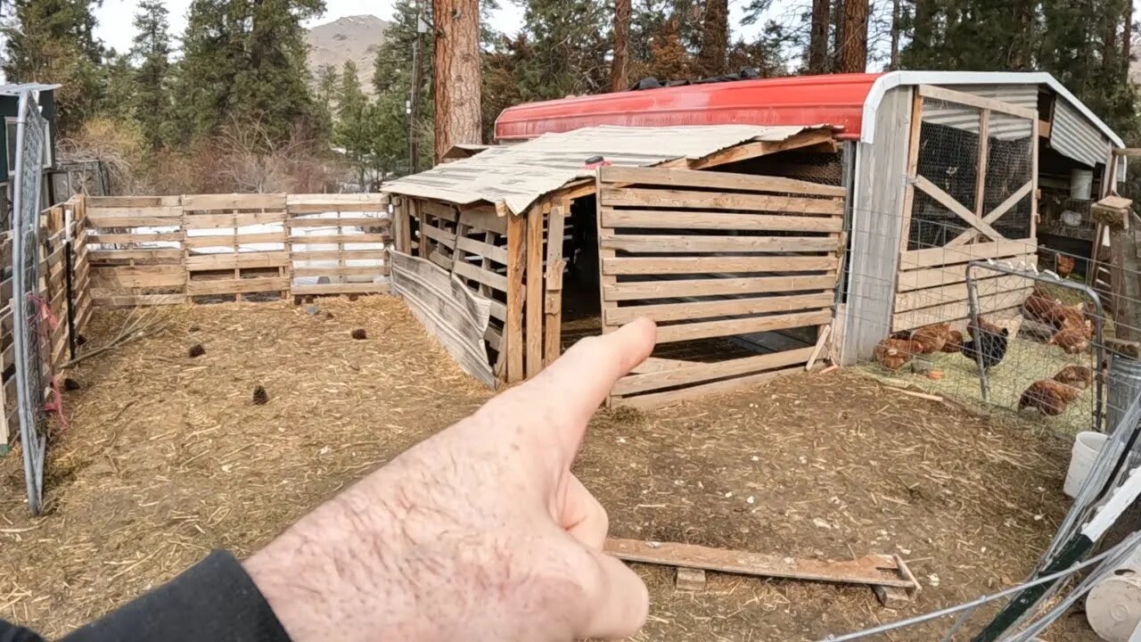 We're Setting Up A Home For Baby Goats!