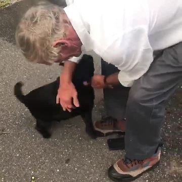 Man reunited with dog after more than a month