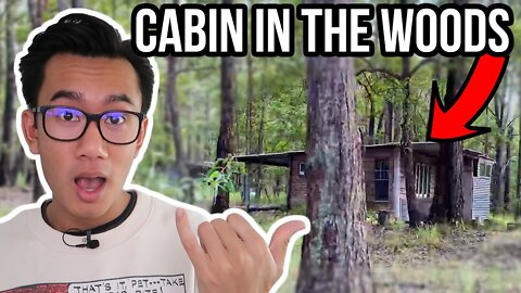 Living In A Cabin The Middle Of A Forest (Blue Mountains Australia)