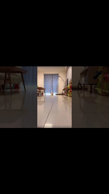 Most Amazing and trending video||relaxing your mind||trendig videos|| #shorts #trending #viral #live