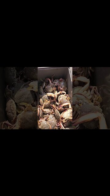 Is this enough for dinner??