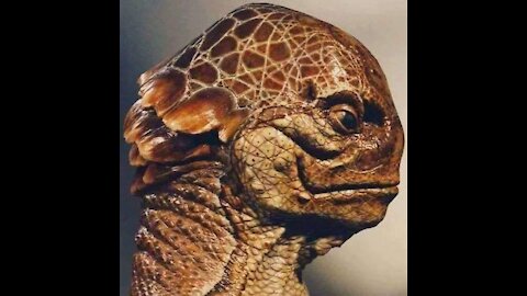 Alien life is not so alien