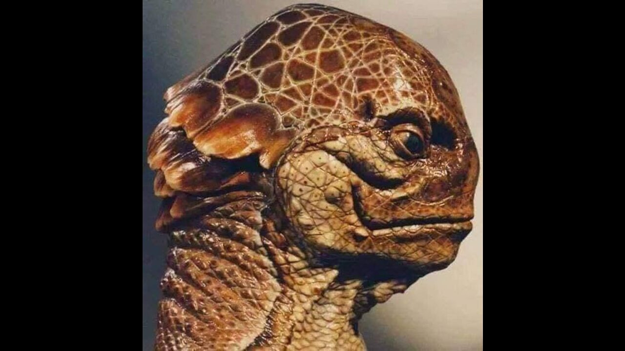 Alien life is not so alien