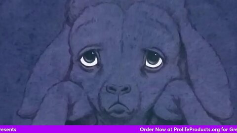 The Seed That Was Afraid To Be Planted and The Sheep No One Could Find