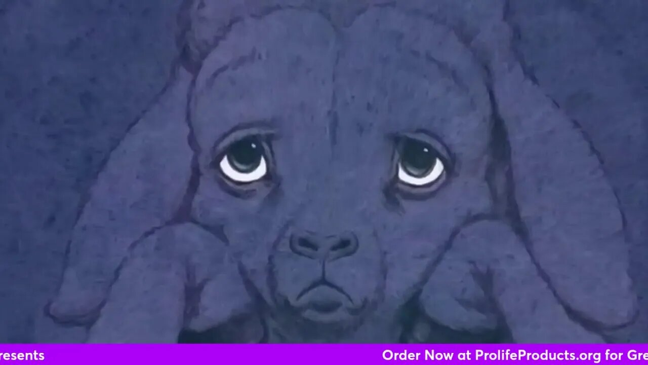 The Seed That Was Afraid To Be Planted and The Sheep No One Could Find