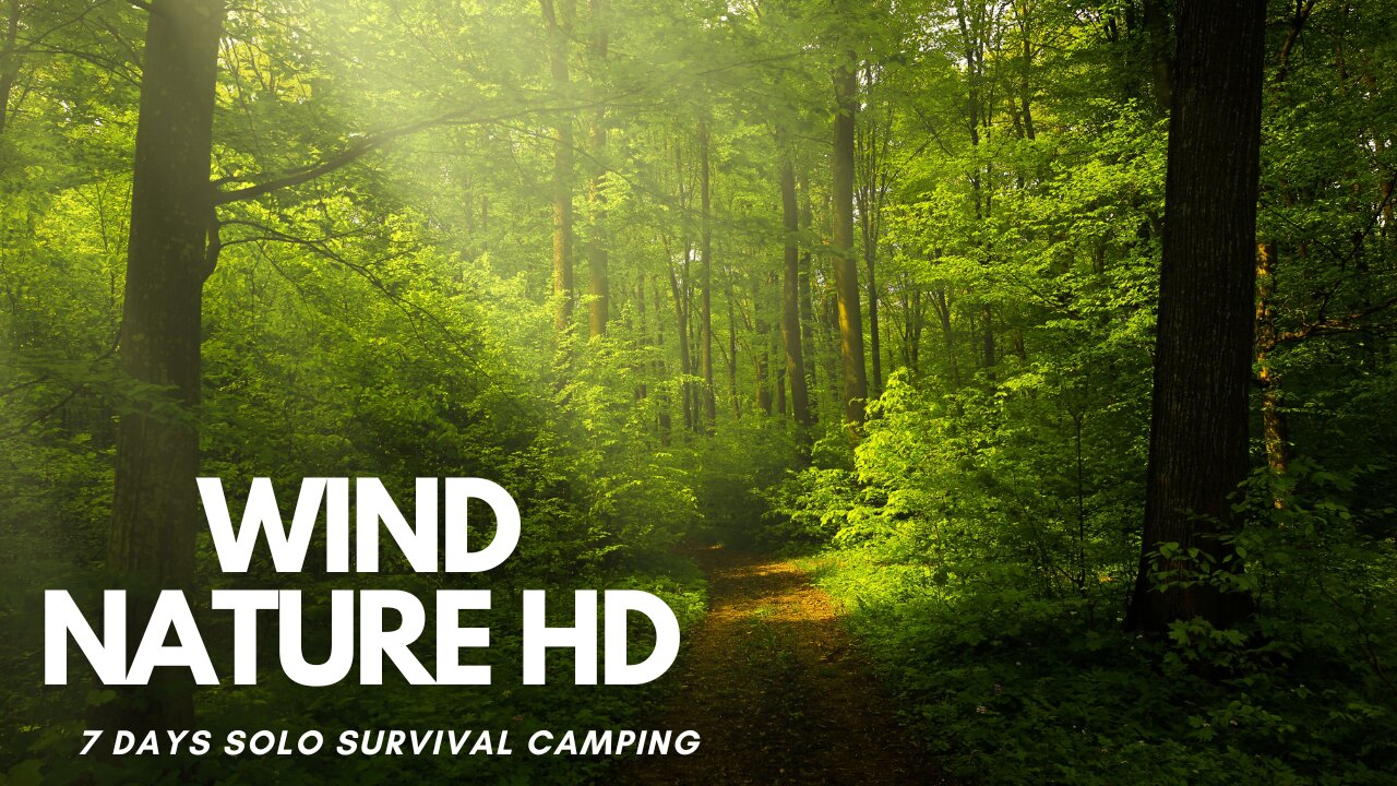 7 Days Solo Survival Camping In Rain Forest, Building Warm Bushcraft Shelter, Clay Fireplace Cooking