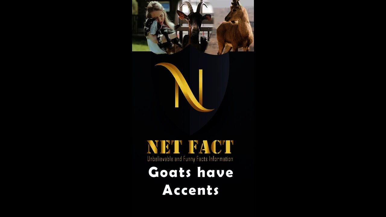 Unbelievable Animal Facts That Are Actually True | Goats have Accents | #Shorts