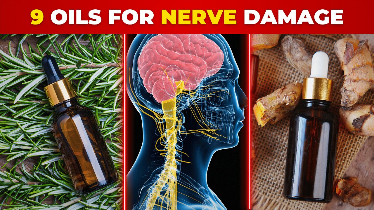 The Top 9 Best Oils For NERVE Damage | Don’t Ignore | Nutrica