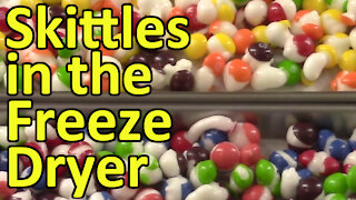 Skittles in the Freeze Dryer