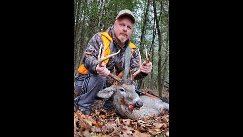 Michigan White Tailed Deer Hunt 2024