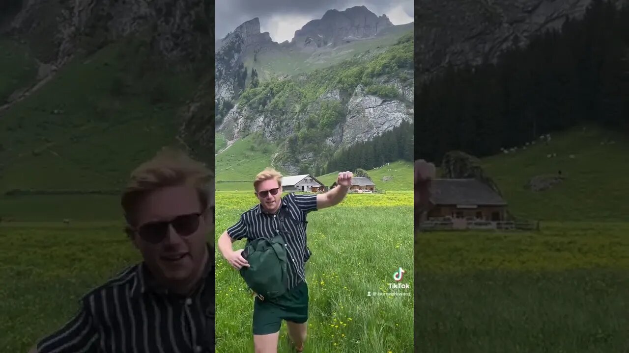 An idiot in Switzerland 🇨🇠#switzerland #idiot #funny #duet 