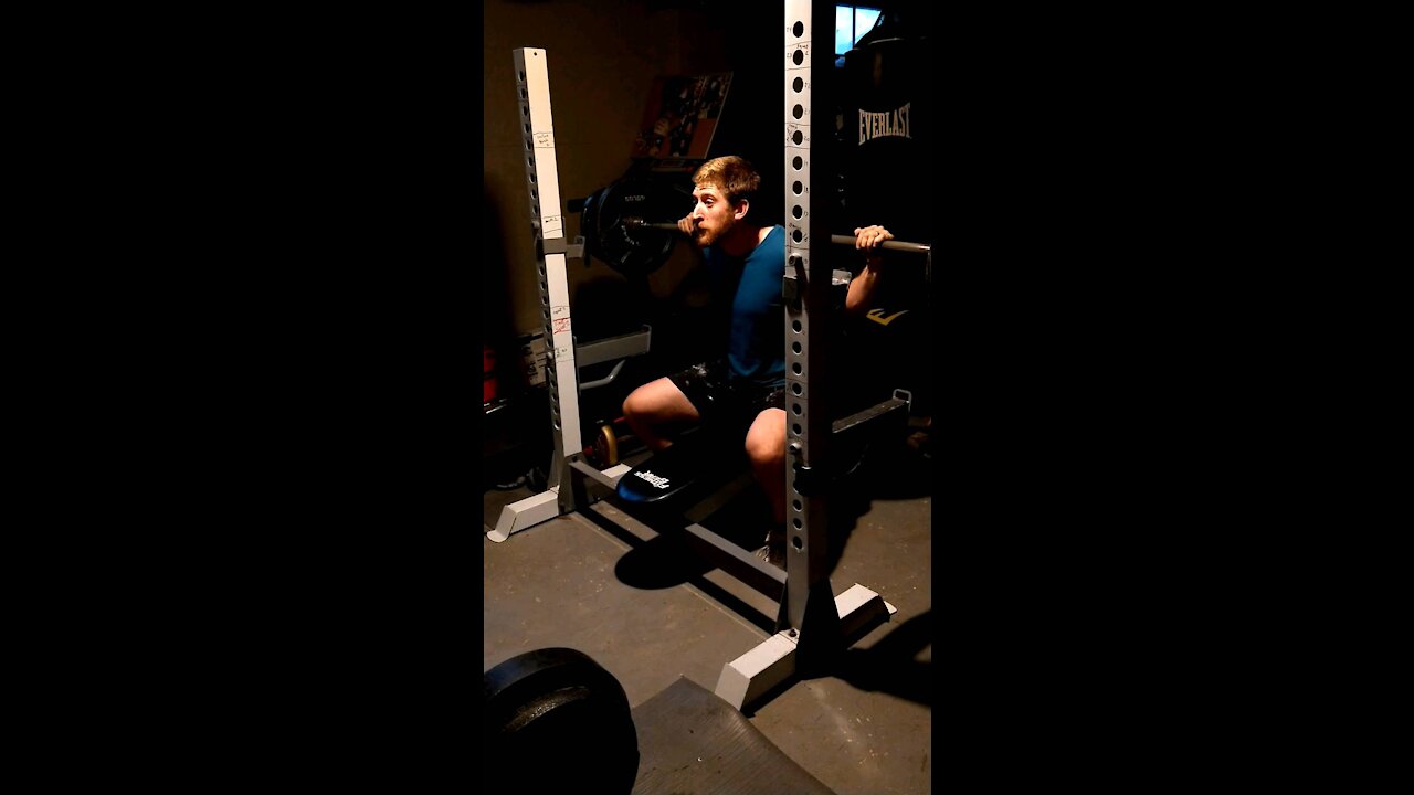 315 toilet squat beltless