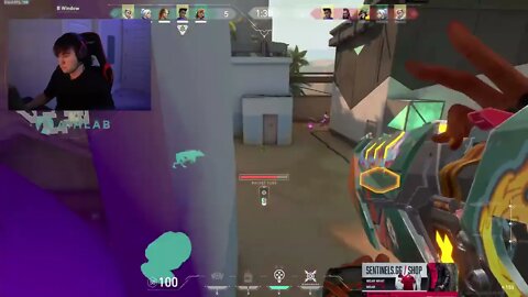 Insane Confidence