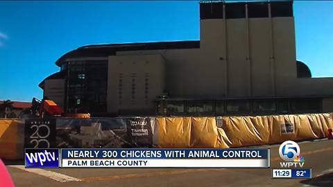 Kravis Center construction causing outrage for neighbors at The Courtyards