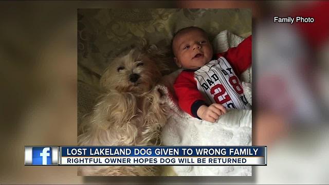 Lakeland family pet wanders off from home, gets adopted to another family by accident