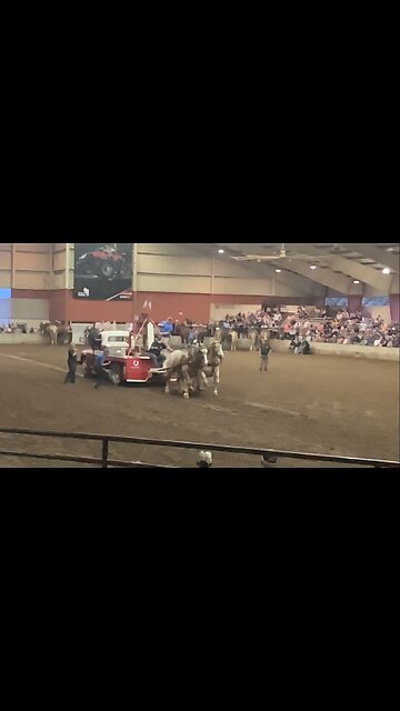 Horsepower in slow motion 2