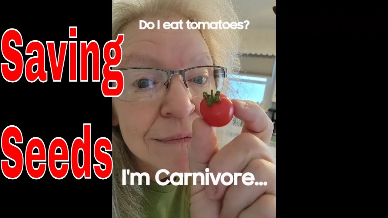 Carnivore saves cherry tomato seeds!