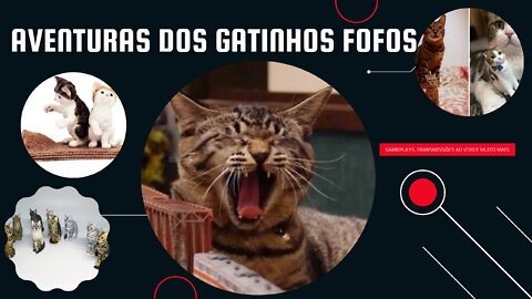 AVENTURAS DOS GATINHOS FOFOS