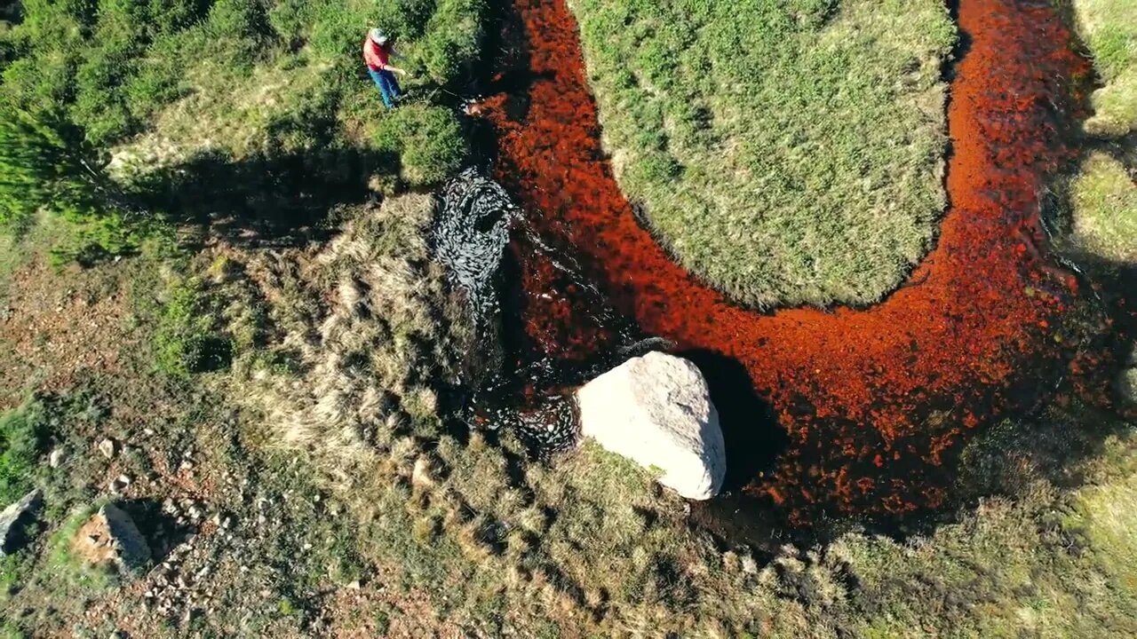 Fly Fishing the Bighorns July 4th 2022 4K 4K