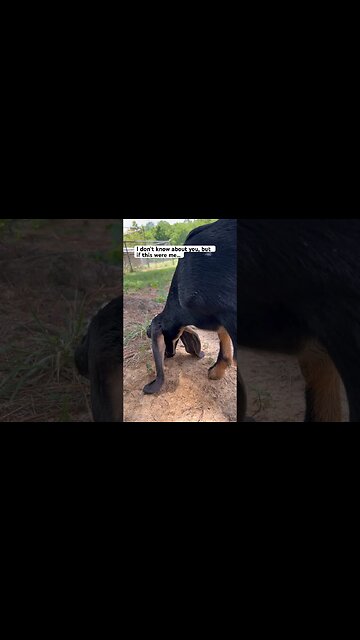 How She Does it is a Mystery to Me #shorts