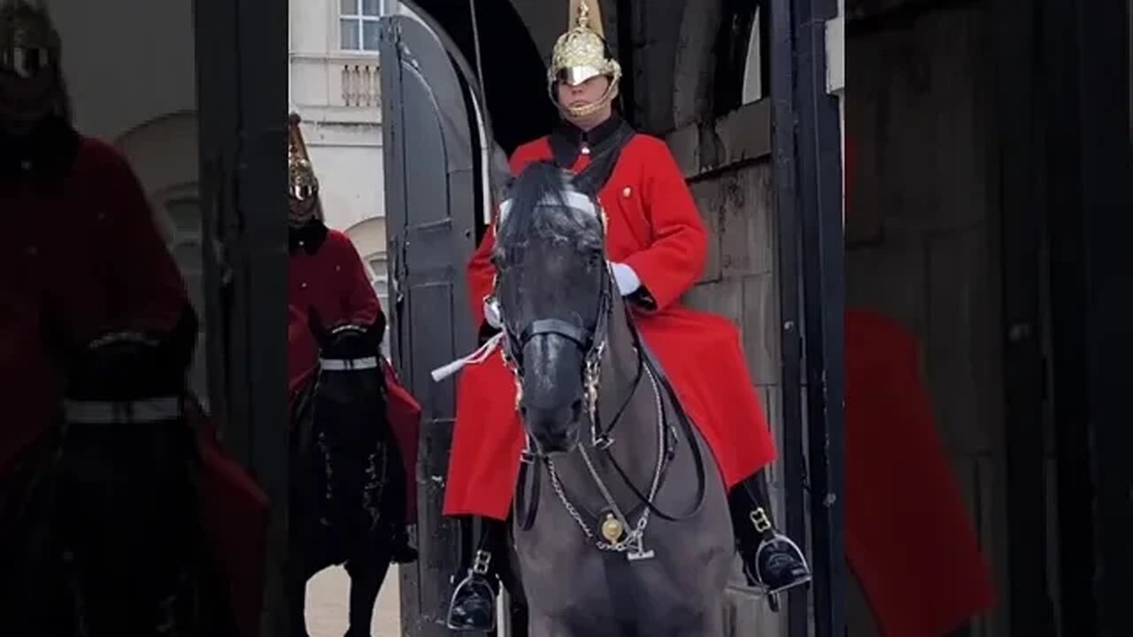 One horse to another #horseguardsparade